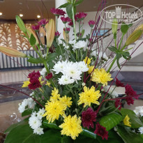 фото из отзыва ID 2744616