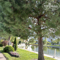 фото из отзыва ID 2744604