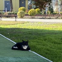 фото из отзыва ID 2744604