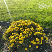 фото из отзыва ID 2744604