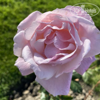 фото из отзыва ID 2744604