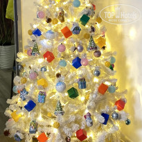 фото из отзыва ID 2744604