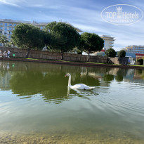 фото из отзыва ID 2744604