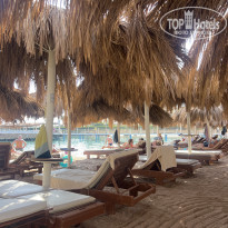 фото из отзыва ID 2744628