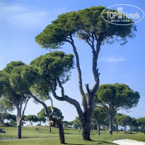 фото из отзыва ID 2744641