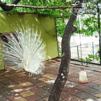 фото из отзыва ID 2744642