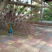 фото из отзыва ID 2744642