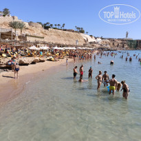 фото из отзыва ID 2744661