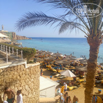 фото из отзыва ID 2744661