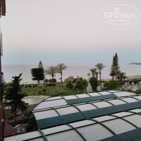 фото из отзыва ID 2744683