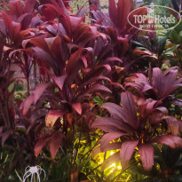 фото из отзыва ID 2744692