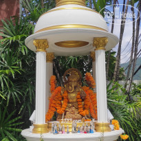 фото из отзыва ID 2744692