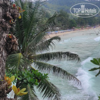 фото из отзыва ID 2744692