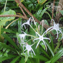 фото из отзыва ID 2744692