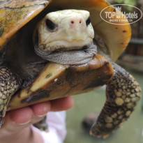 фото из отзыва ID 2744692