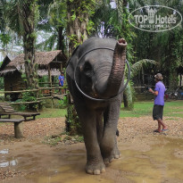 фото из отзыва ID 2744692