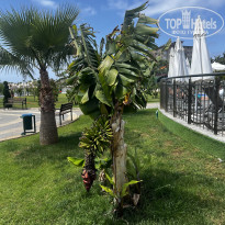 фото из отзыва ID 2744717