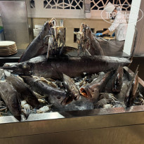 фото из отзыва ID 2744723