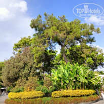 фото из отзыва ID 2744339