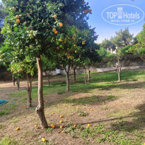 фото из отзыва ID 2744339