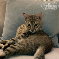 фото из отзыва ID 2744732