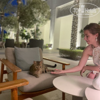 фото из отзыва ID 2744732