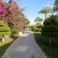 фото из отзыва ID 2744737