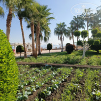 фото из отзыва ID 2744737