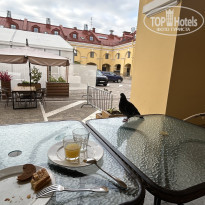 фото из отзыва ID 2744738