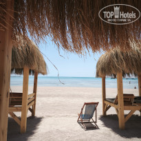 фото из отзыва ID 2744746