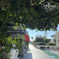 фото из отзыва ID 2744763