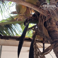 фото из отзыва ID 2744771