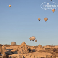 фото из отзыва ID 2744772