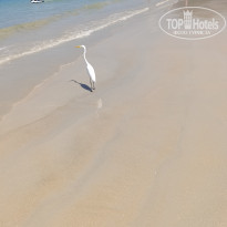 фото из отзыва ID 2744813