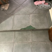 фото из отзыва ID 2744815