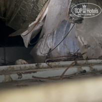 фото из отзыва ID 2744815