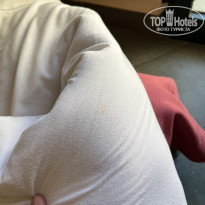 фото из отзыва ID 2744815