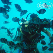 фото из отзыва ID 2744819