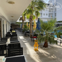 фото из отзыва ID 2744836