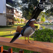 фото из отзыва ID 2744833