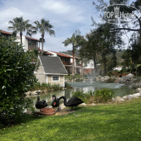 фото из отзыва ID 2744833