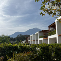 фото из отзыва ID 2744833