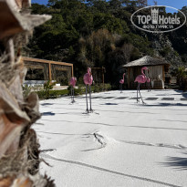 фото из отзыва ID 2744833