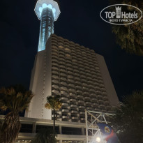 фото из отзыва ID 2744846