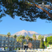 фото из отзыва ID 2744848