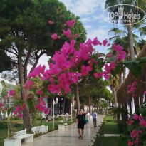 фото из отзыва ID 2744848