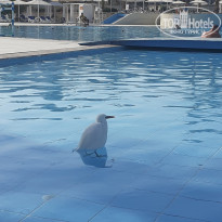 фото из отзыва ID 2744850