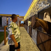 фото из отзыва ID 2744858