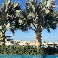 фото из отзыва ID 2744858