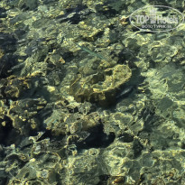 фото из отзыва ID 2744877